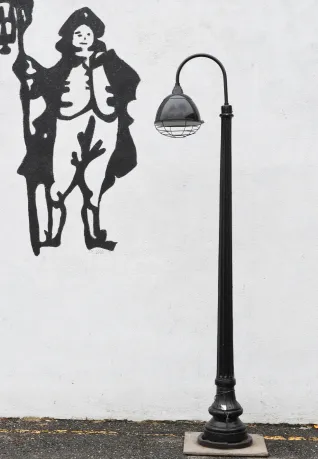Curved Arm Caged Reflector Lamp Post